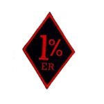montrez votre esprit rebelle avec le patch biker 1 brode 947 1