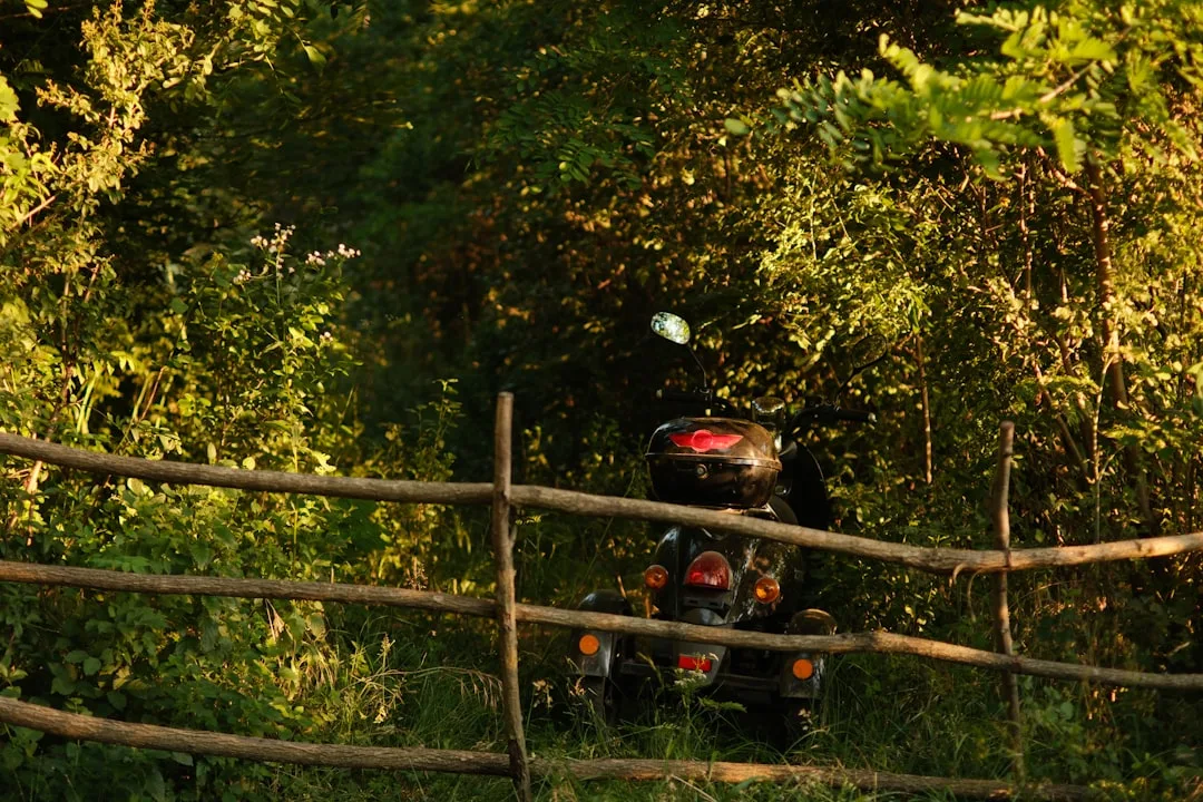 comment graisser chaine moto image